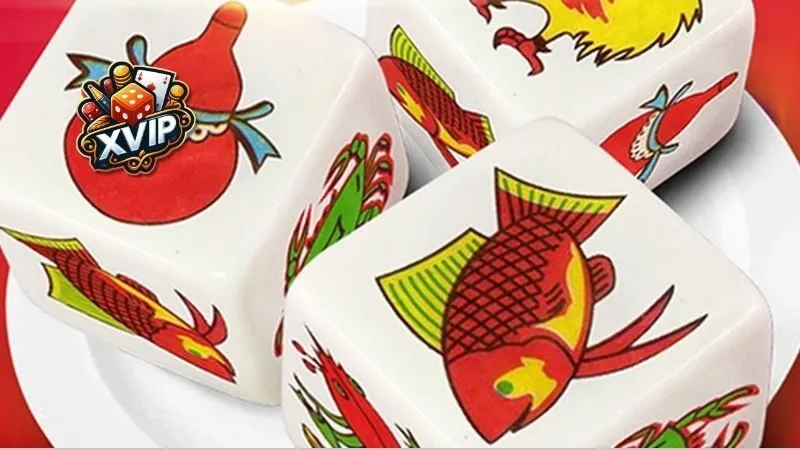 Những địa chỉ tốt nhất để chơi