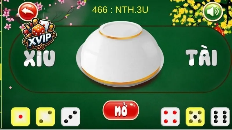 Tham khảo ý kiến từ chuyên gia