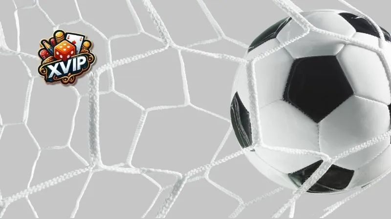 Các môn thể thao phổ biến nhất hiện nay tại XVIP Sport